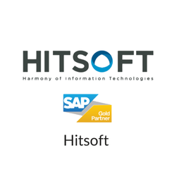 Hitsoft-logo